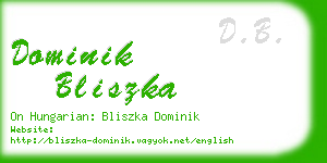 dominik bliszka business card